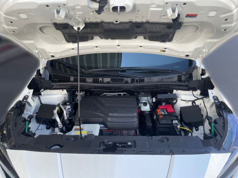 Ansicht 18 - Gebrauchtwagen Fahrzeug, Modell Leaf der Marke Nissan von Verkäufer Autohaus Rabus e.K.
