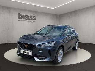 Cupra Formentor 2.0 TDI 4Drive (EURO 6d)
