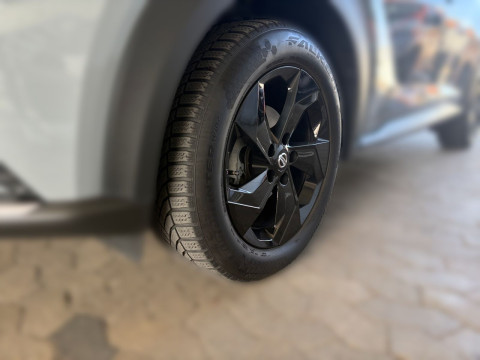 Ansicht 11 - Gebrauchtwagen Fahrzeug, Modell Juke der Marke Nissan von Verkäufer Autohaus Wild GmbH