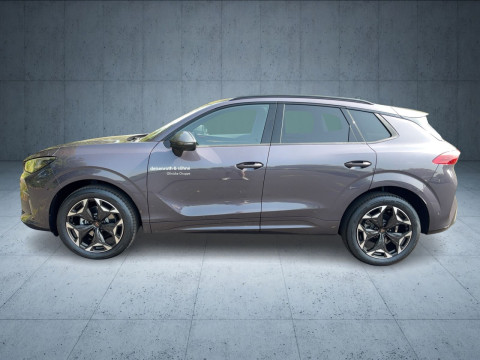 Cupra Terramar - Terramar 1.5 eTSI HDMatrix/Sennheiser/HuD/Nav/19"