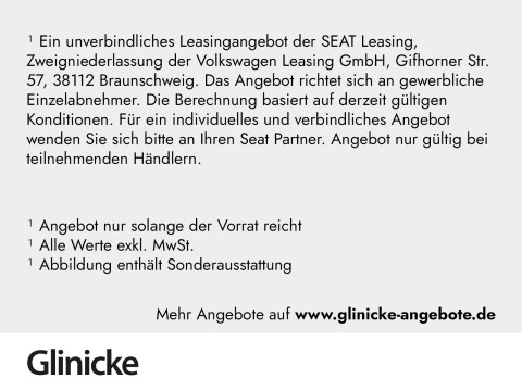 Cupra Tavascan - Tavascan Endurance Drive Pack Below Zero Pack