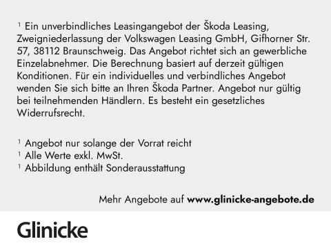 Škoda Kamiq - Kamiq 1.0 TSI Clever LED LM 17" PDC+RFK SmartLink Tempomat