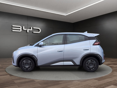 BYD DOLPHIN - Dolphin Surf Active