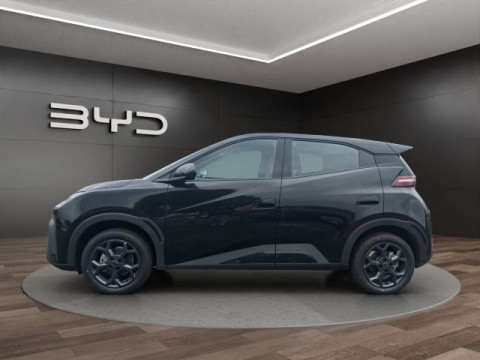 BYD DOLPHIN - Dolphin Surf Boost TAGESZULASSUNG