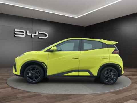 BYD DOLPHIN - Dolphin Surf Boost TAGESZULASSUNG