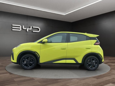 BYD DOLPHIN - Dolphin Surf Boost TAGESZULASSUNG