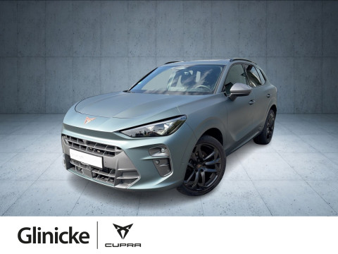 Cupra Terramar - Terramar VZ 2.0 TSI Americas CUP AHK/Pano/Nav/20"/Leder/Assist