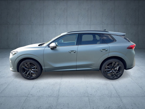 Cupra Terramar - Terramar VZ 2.0 TSI Americas CUP AHK/Pano/Nav/20"/Leder/Assist