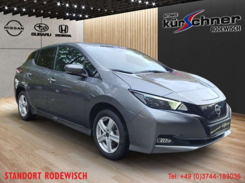 Automodell: Leaf in der Farbe grau