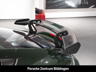 Fahrzeugbild eines Porsche Cayman in grün.