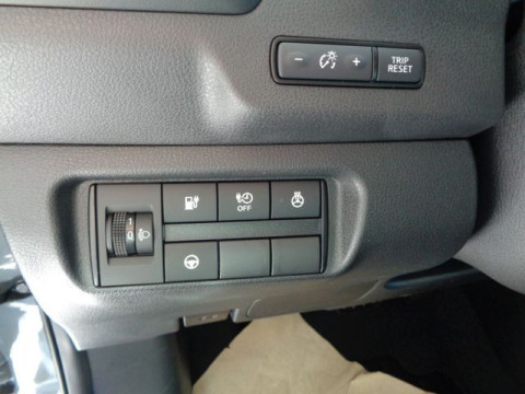 Ansicht 10 - Gebrauchtwagen Fahrzeug, Modell Leaf der Marke Nissan von Verkäufer Autohaus Konrad GmbH