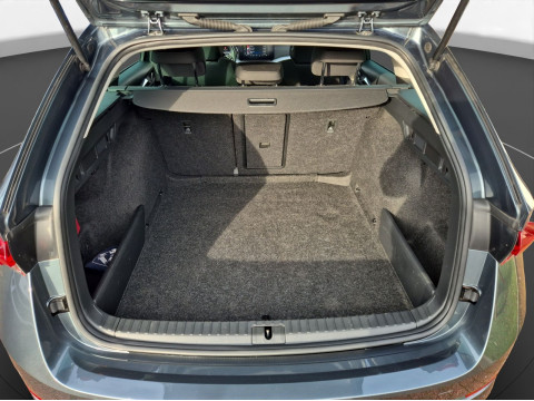 &Scaron;koda - Octavia