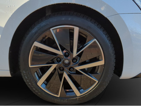 &Scaron;koda - Octavia