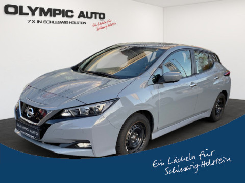 Automodell: Leaf in der Farbe grau