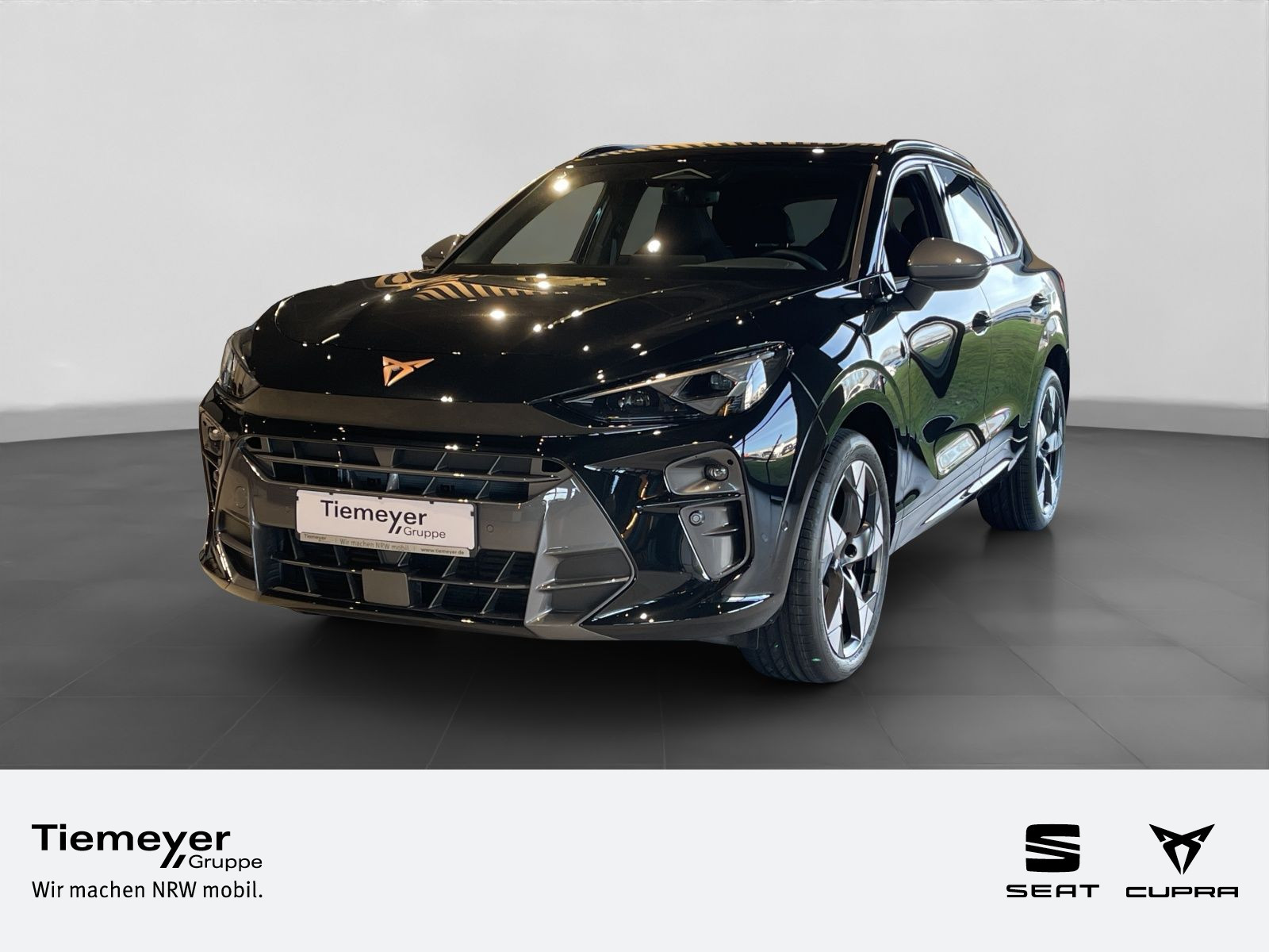 Cupra Terramar 1.5 eTSI