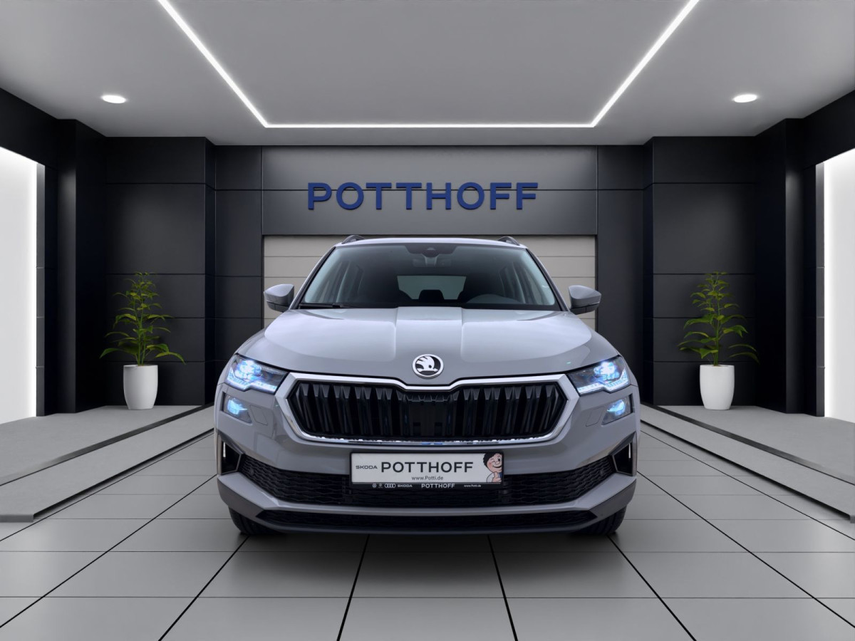 Thumb 6: Škoda KAROQ TOUR DSG AHK PANO NAV ASSISTENZ+ WINTER+