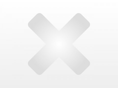 Automodell: X-Trail in der Farbe grau