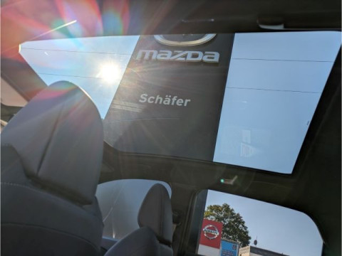 Ansicht 13 - Neuwagen Fahrzeug, Modell Qashqai der Marke Nissan von Verkäufer Autohaus Schäfer GmbH
