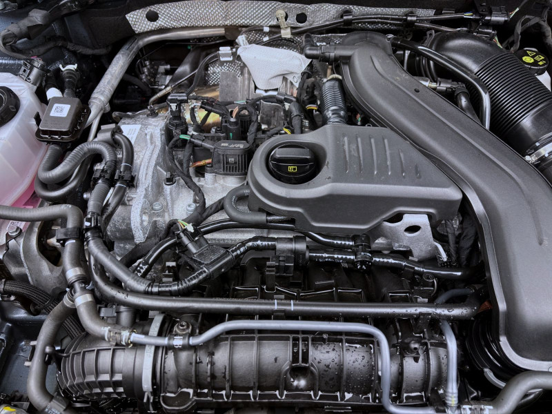 Bild 17: Cupra Formentor 1.5 eTSI DSG NAVI 360° PDC LED SITZHZG