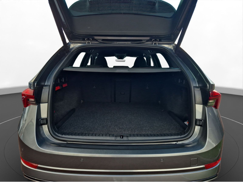 &Scaron;koda - Octavia