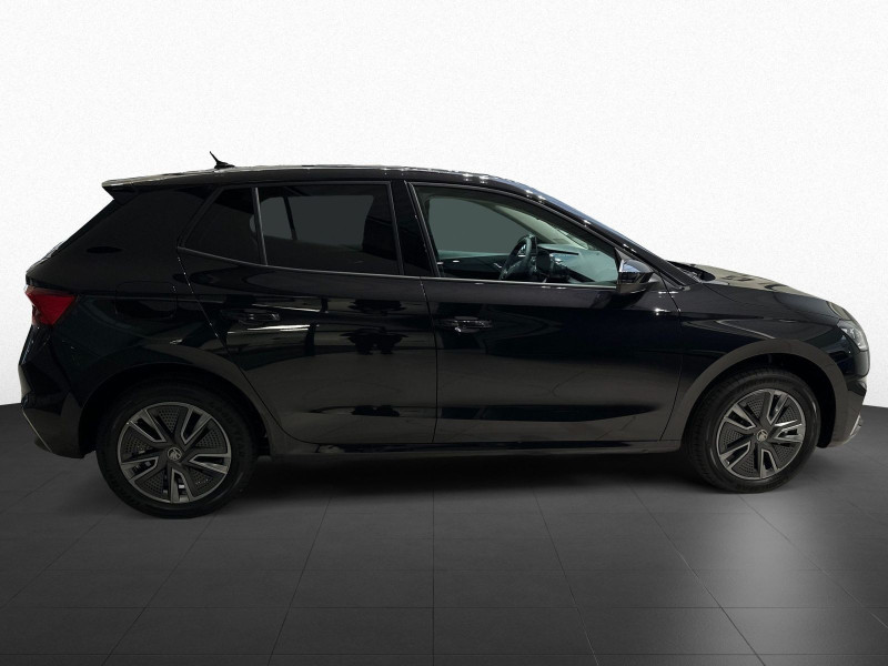 &Scaron;koda - Fabia