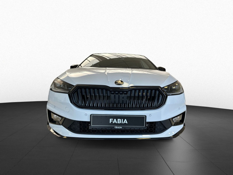 &Scaron;koda - Fabia