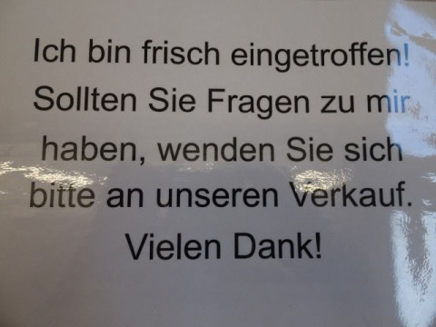 Ansicht 8 - Gebrauchtwagen Fahrzeug, Modell Juke der Marke Nissan von Verkäufer Autohaus Ulrich GmbH