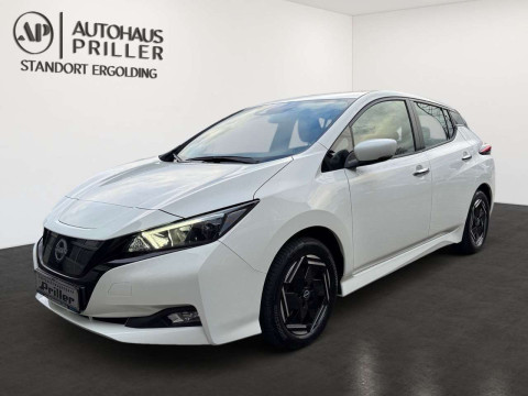 Automodell: Leaf in der Farbe weiß