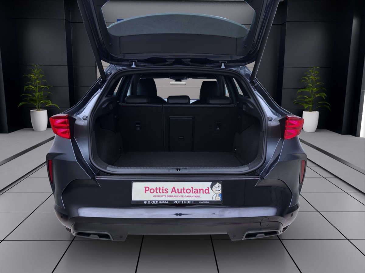 Thumb 3: Cupra Formentor 2.0 TDI DSG NAVI SITZHZG KLIMA PDC KAMERA