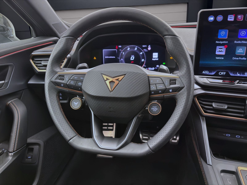 Bild 10: Cupra Formentor 2.0 TDI DSG NAVI KAMERA SITZHZG PDC