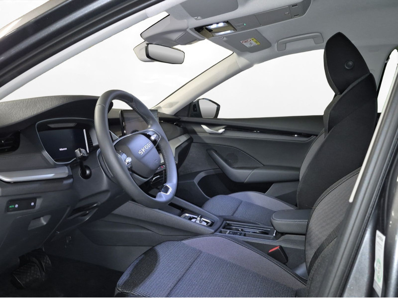 &Scaron;koda - Octavia