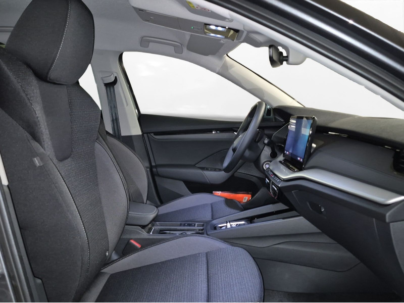 &Scaron;koda - Octavia