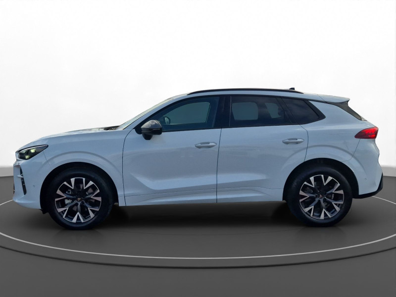 Cupra - Terramar