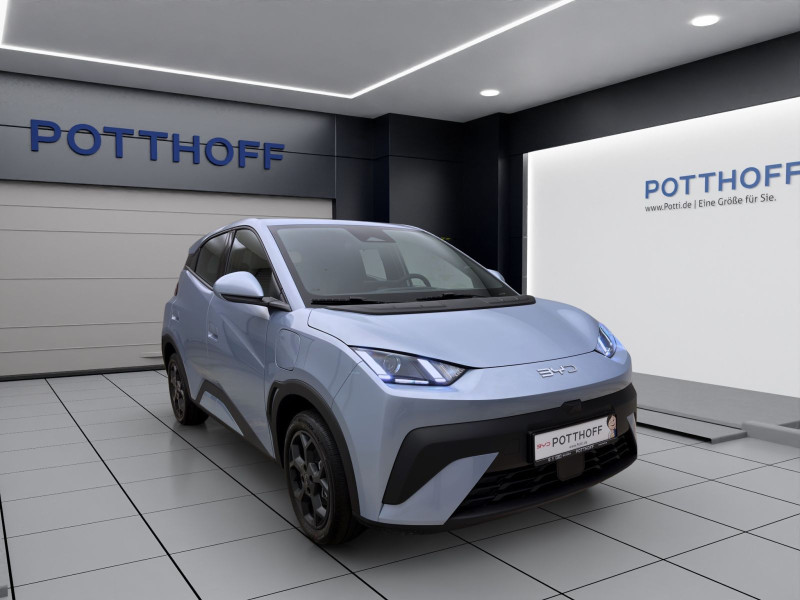 Bild 5: BYD DOLPHIN SURF BOOST NAVI KLIMA LM16 KAMERA PDC