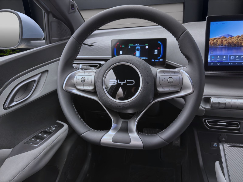 Bild 10: BYD DOLPHIN SURF BOOST NAVI KLIMA LM16 KAMERA PDC