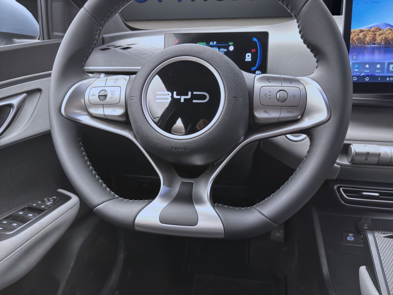 Bild 11: BYD DOLPHIN SURF BOOST NAVI KLIMA LM16 KAMERA PDC