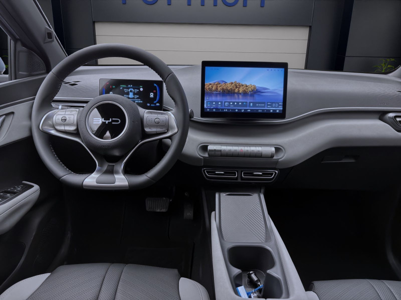 Bild 12: BYD DOLPHIN SURF BOOST NAVI KLIMA LM16 KAMERA PDC