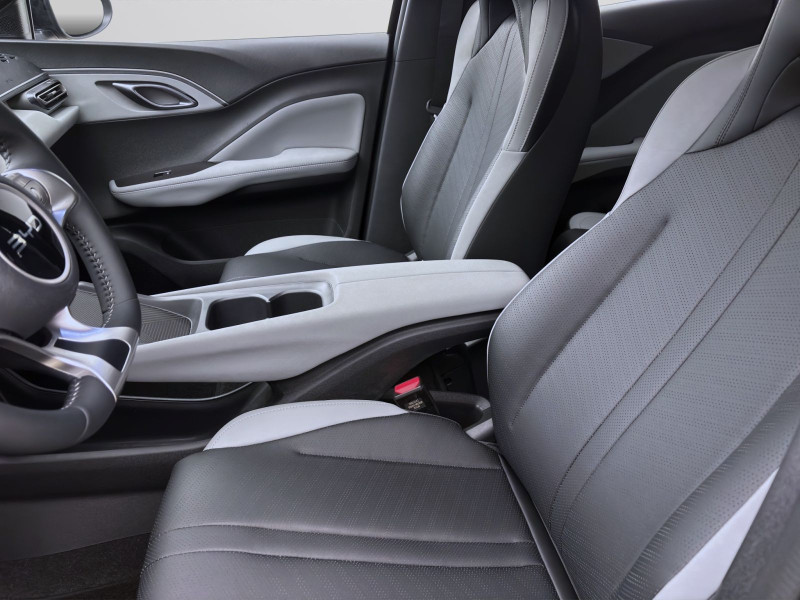 Bild 8: BYD DOLPHIN SURF BOOST NAVI KLIMA LM16 KAMERA PDC
