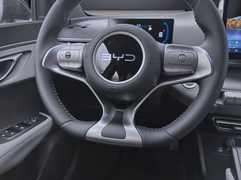 Bild 11: BYD DOLPHIN SURF BOOST NAVI KLIMA LM16 KAMERA PDC