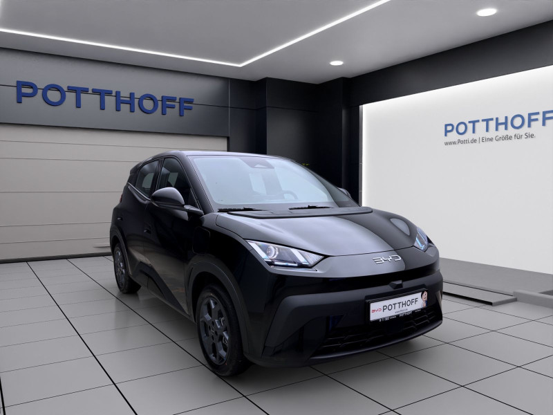 Bild 5: BYD DOLPHIN SURF BOOST NAVI KLIMA LM16 KAMERA PDC