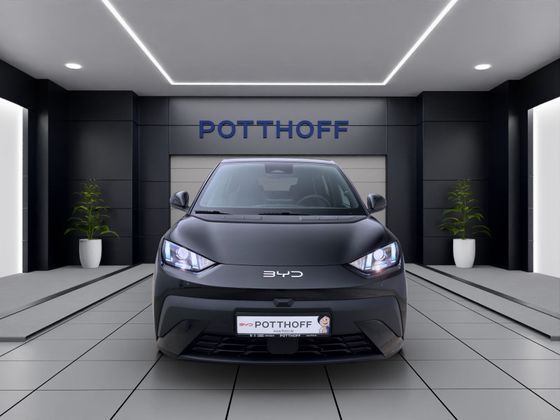 Bild 6: BYD DOLPHIN SURF BOOST NAVI KLIMA LM16 KAMERA PDC