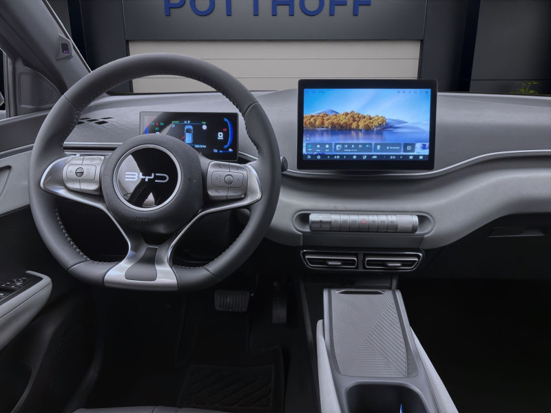 Bild 12: BYD DOLPHIN SURF BOOST NAVI KLIMA LM16 KAMERA PDC