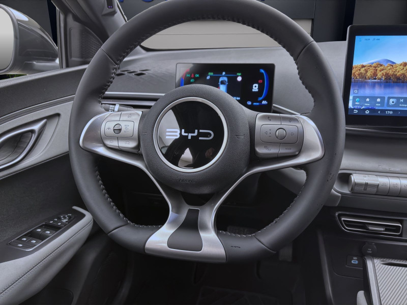 Bild 9: BYD DOLPHIN SURF BOOST NAVI KLIMA LM16 KAMERA PDC