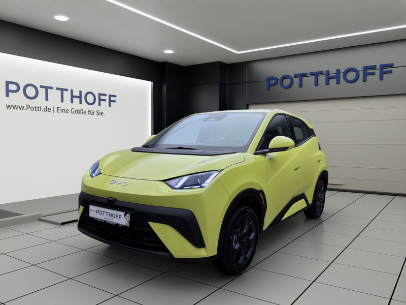 Bild 0: BYD Dolphin Surf BOOST NAVI KLIMA LM16 KAMERA PDC