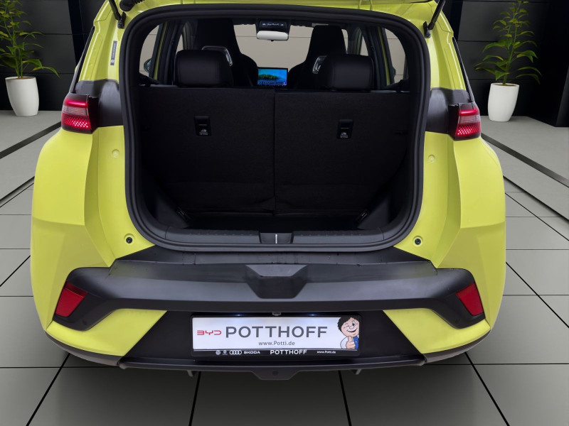 Bild 3: BYD Dolphin Surf BOOST NAVI KLIMA LM16 KAMERA PDC