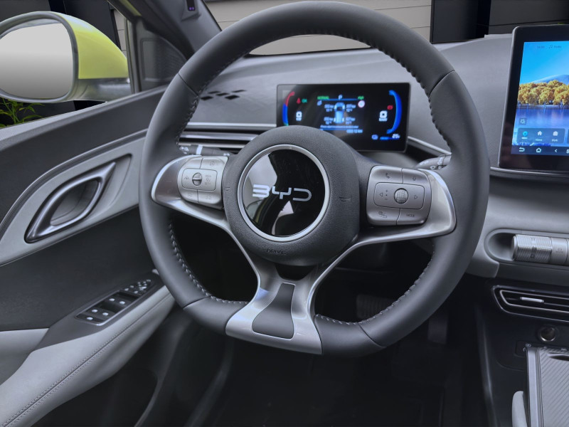 Bild 10: BYD Dolphin Surf BOOST NAVI KLIMA LM16 KAMERA PDC