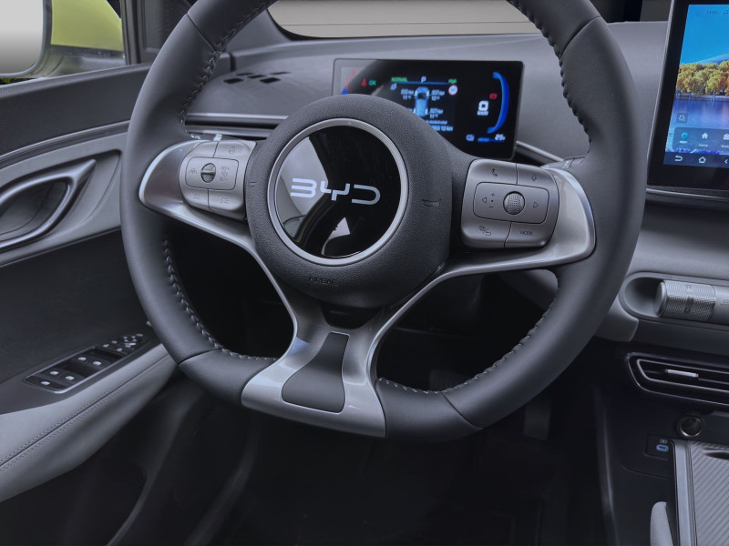 Bild 11: BYD Dolphin Surf BOOST NAVI KLIMA LM16 KAMERA PDC