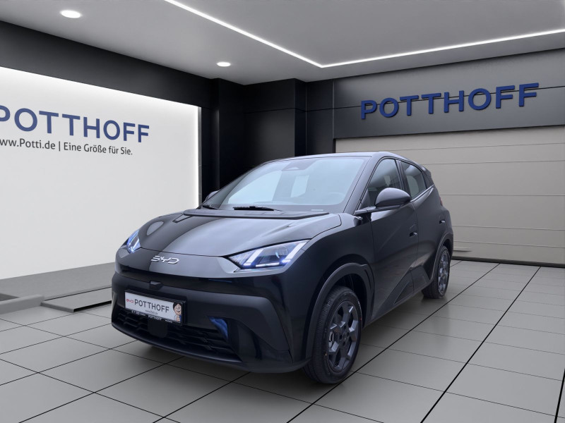 Bild 0: BYD Dolphin Surf BOOST NAVI KLIMA LM16 KAMERA PDC