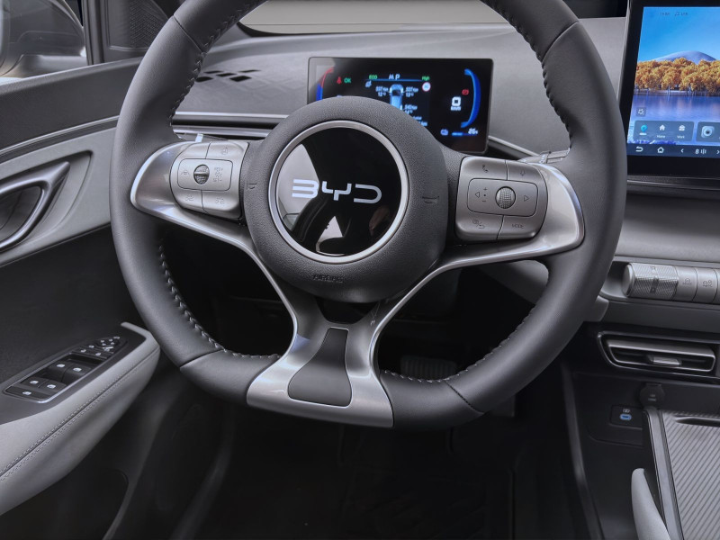 Bild 11: BYD DOLPHIN SURF BOOST NAVI KLIMA LM16 KAMERA PDC