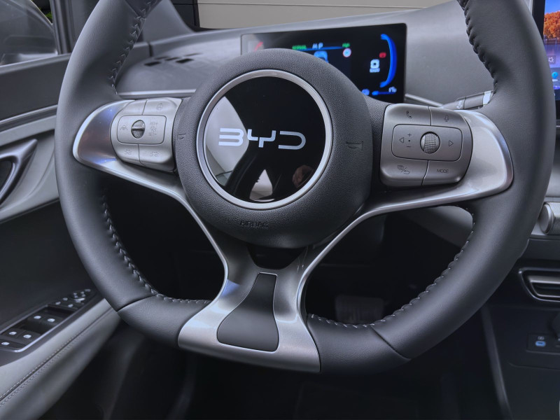 Bild 11: BYD DOLPHIN SURF BOOST NAVI KLIMA LM16 KAMERA PDC